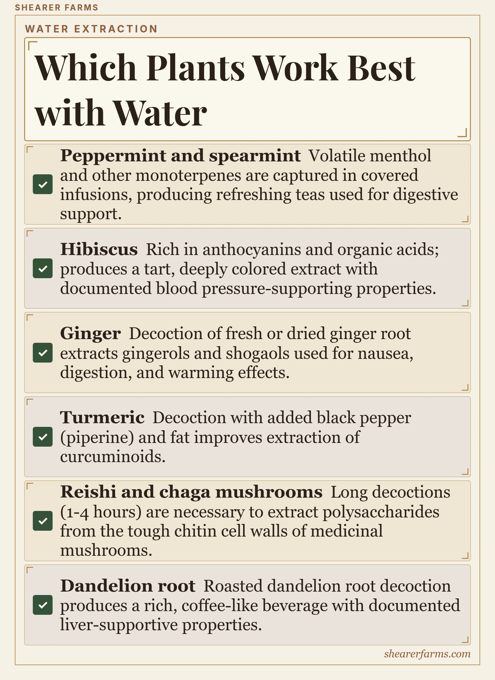 Which Plants Work Best with Water. Peppermint and spearmint; Hibiscus; Ginger; Turmeric; Reishi and chaga mushrooms; Dandelion root.