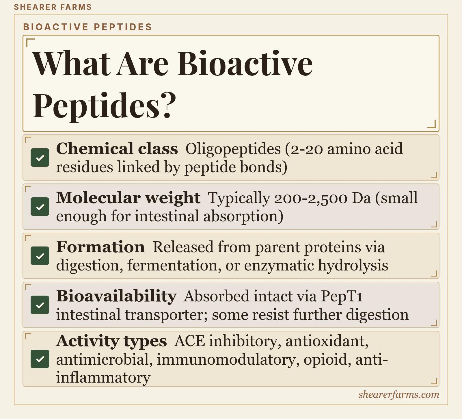 What Are Bioactive Peptides?. Chemical class; Molecular weight; Formation; Bioavailability; Activity types.